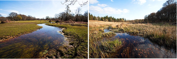 Fletchers Thorns (left) and Soldiers Bog (right) restoration sites.